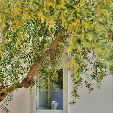 Douskos Beach House Apartment Hydra  Luaran gambar