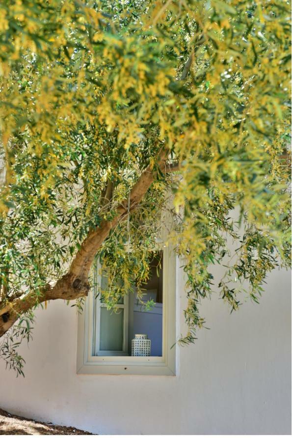 Douskos Beach House Apartment Hydra  Luaran gambar